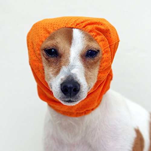 Amazon.co.jp: 犬と生活